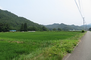 photo-20240713-38