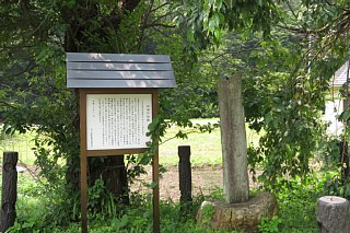 photo-20240713-53