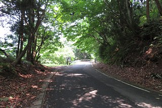 photo-20240713-65
