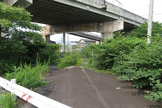 photo-20240713-7