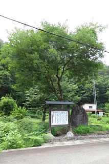 photo-20240713-70