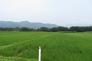 photo-20240713-84