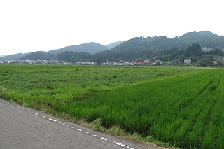 photo-20240713-98