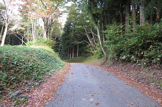 photo-20241020-13