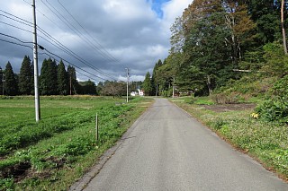 photo-20241020-15