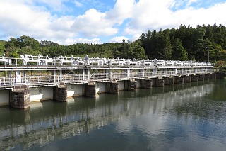 photo-20241020-17