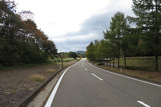 photo-20241020-19