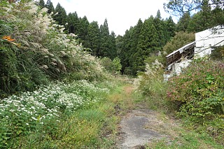 photo-20241020-30