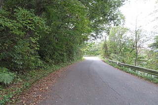photo-20241020-31