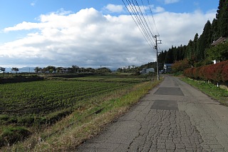 photo-20241020-7