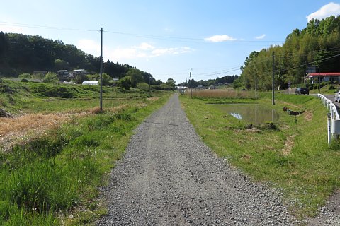 photo-20260513-10
