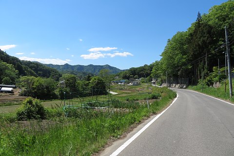 photo-20260513-7