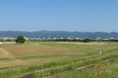 photo-20260520-12