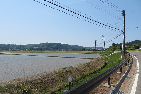 photo-20260520-8