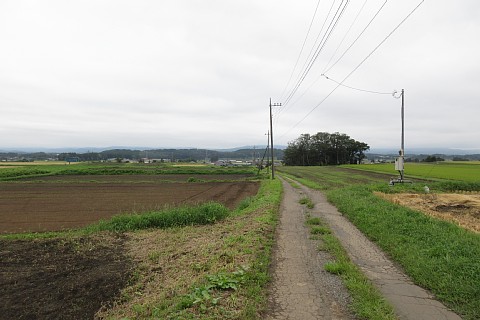 photo-20260916-2