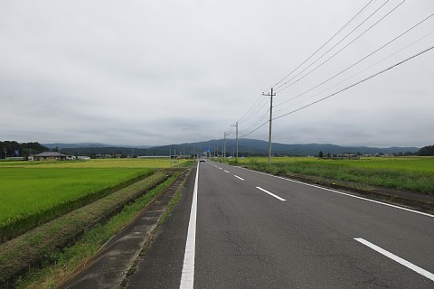photo-20260916-3