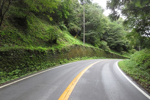 photo-20260916-4