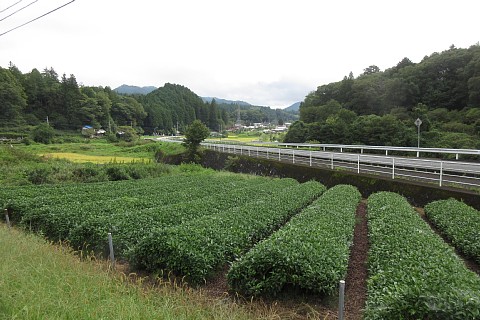 photo-20260916-8