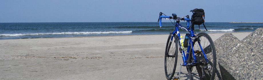 �B�e�n�F�V�����V���s�@�ԑ�l