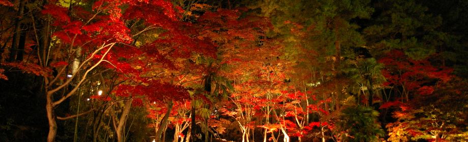 �B�e�n�F�V��������s���_�R��