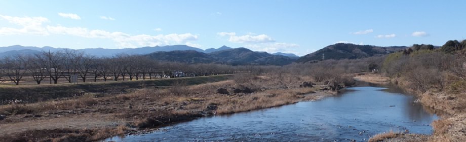 �B�e�n�F��ʌ����S���R�� �s����