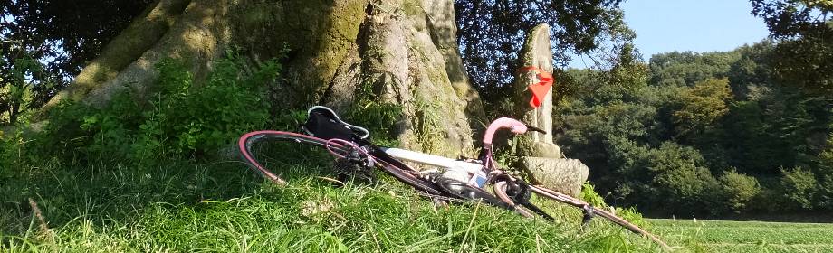 �B�e�n�F��ʌ��F�J�s�@���̑�|