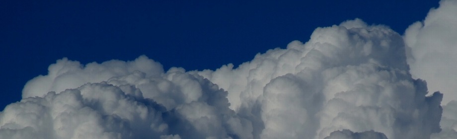 �B�e�n�F��ʌ������s