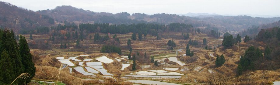 �B�e�n�F�V�����\�����s�@�����̒I�c