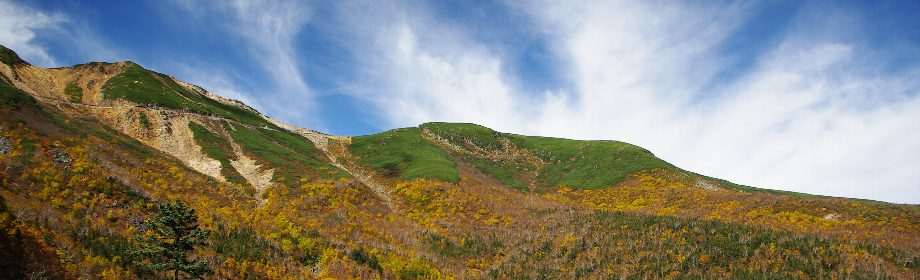 �B�e�n�F����E�򕌌����@��ƃG�R�[���C��