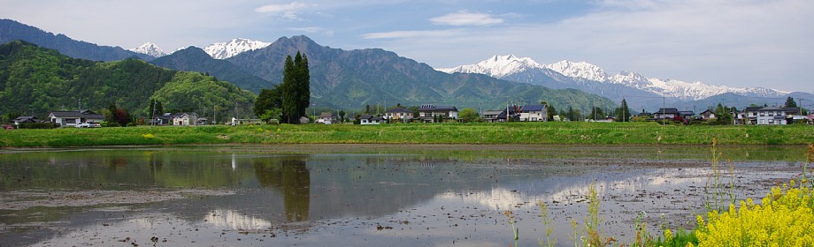 �B�e�n�F���쌧�k���܌S���쑺