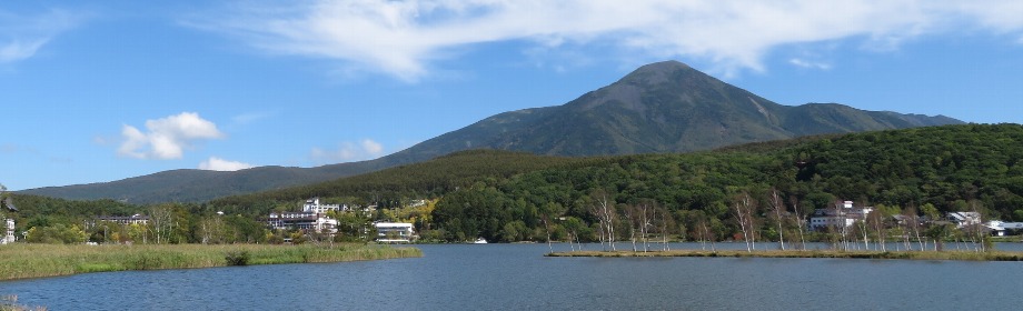 �B�e�n�F���쌧����s�@������