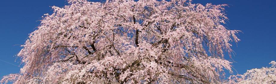 �B�e�n�F�Q�n���ː��s