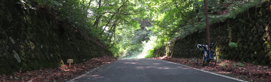 �B�e�n�F�{�錧�E�R�`�����@�H�B�X���E���R��