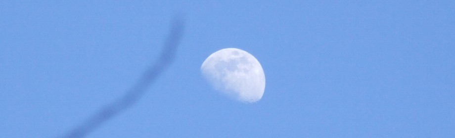 �B�e�n�F��ʌ����ʌS���ʒ�