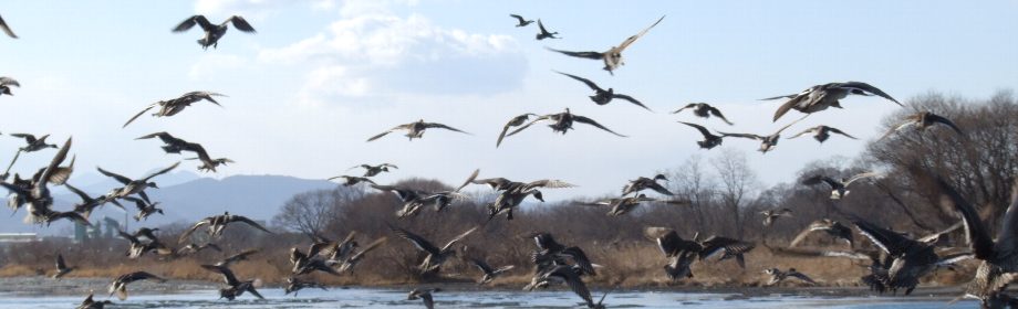 �B�e�n�F��ʌ��[�J�s�@�r��͐�~