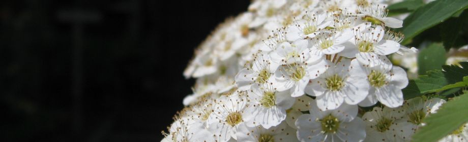 �B�e�n�F�V��������s