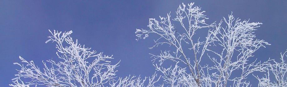 �B�e�n�F���쌧�����S���a��