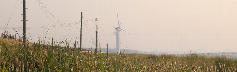 �B�e�n�F�V�����V���s���_��