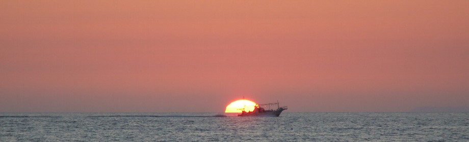 �B�e�n�F�V�����V���s���_��