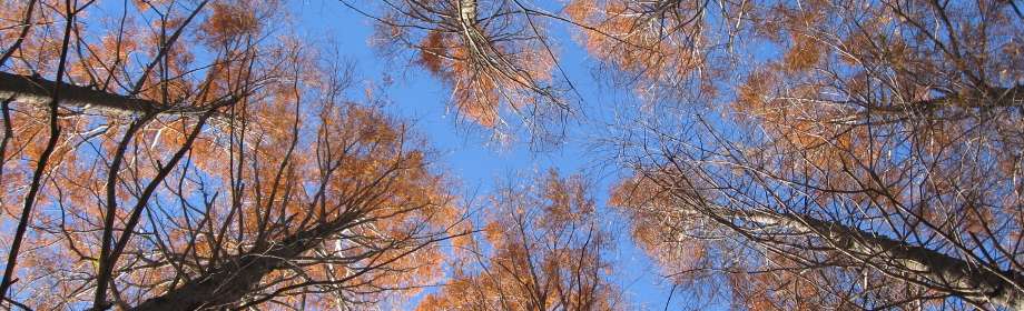 �B�e�n�F��ʌ��������܎s�@�H��������