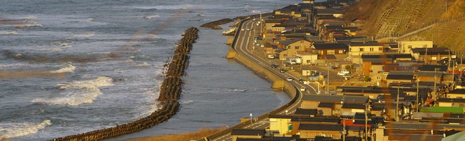 �B�e�n�F�V�����O���S�o�_�蒬