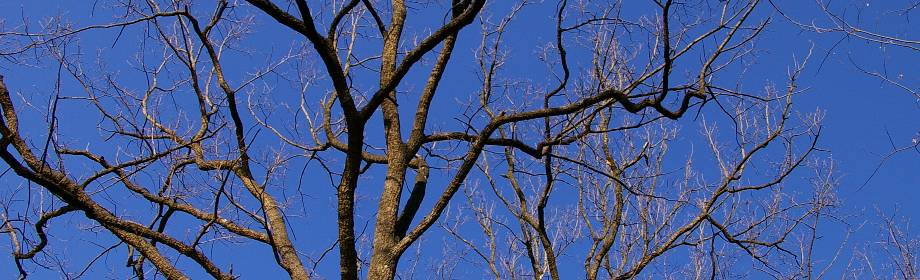 �B�e�n�F��ʌ����S�g����