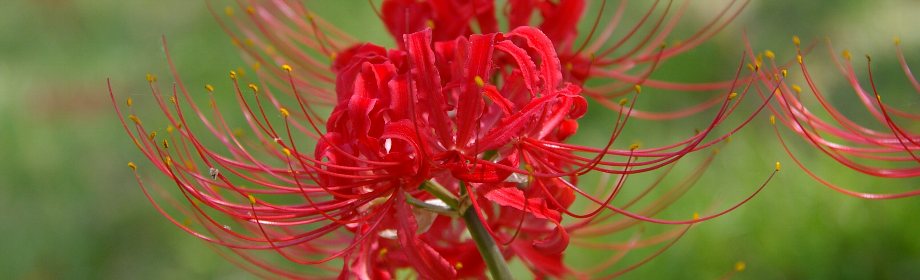 �B�e�n�F��ʌ����S�g����