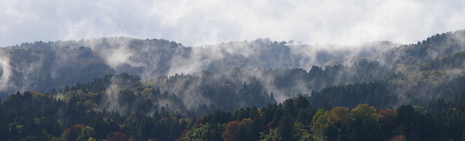 �B�e�n�F�V���������s�z�H