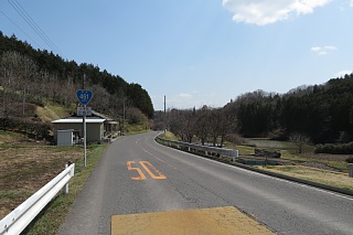 photo-20250504-21