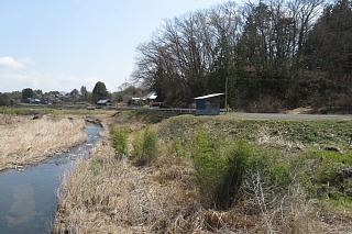 photo-20250504-29
