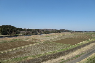 photo-20250504-8