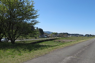 photo-20260425-11