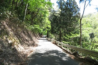 photo-20260425-18