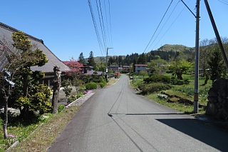 photo-20260425-20